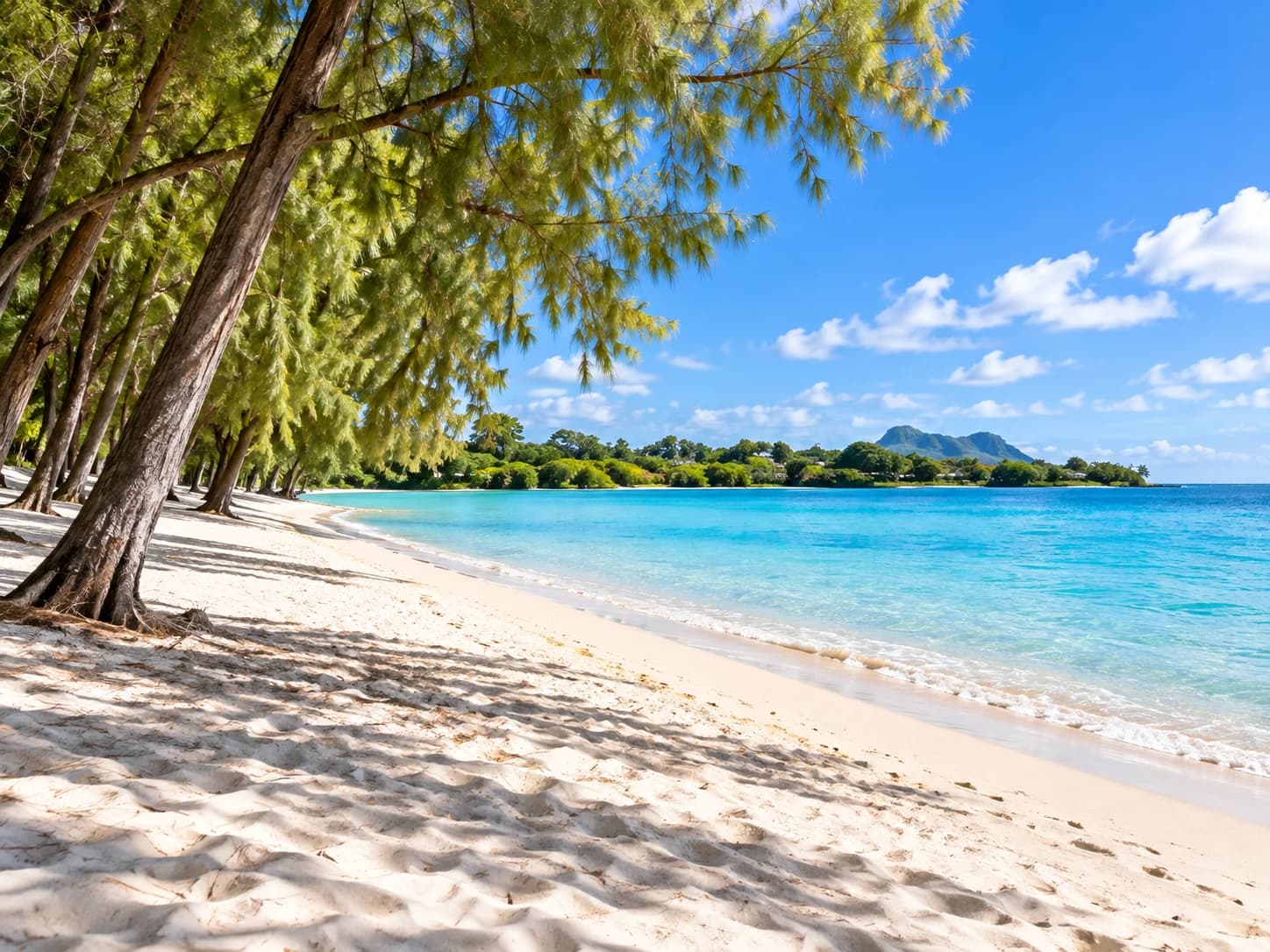 Quiet white-sand beach shaded by trees beside a calm turquoise lagoon